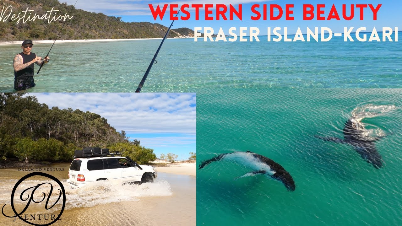 Faser Island Awinya Creek Beauty KGARI