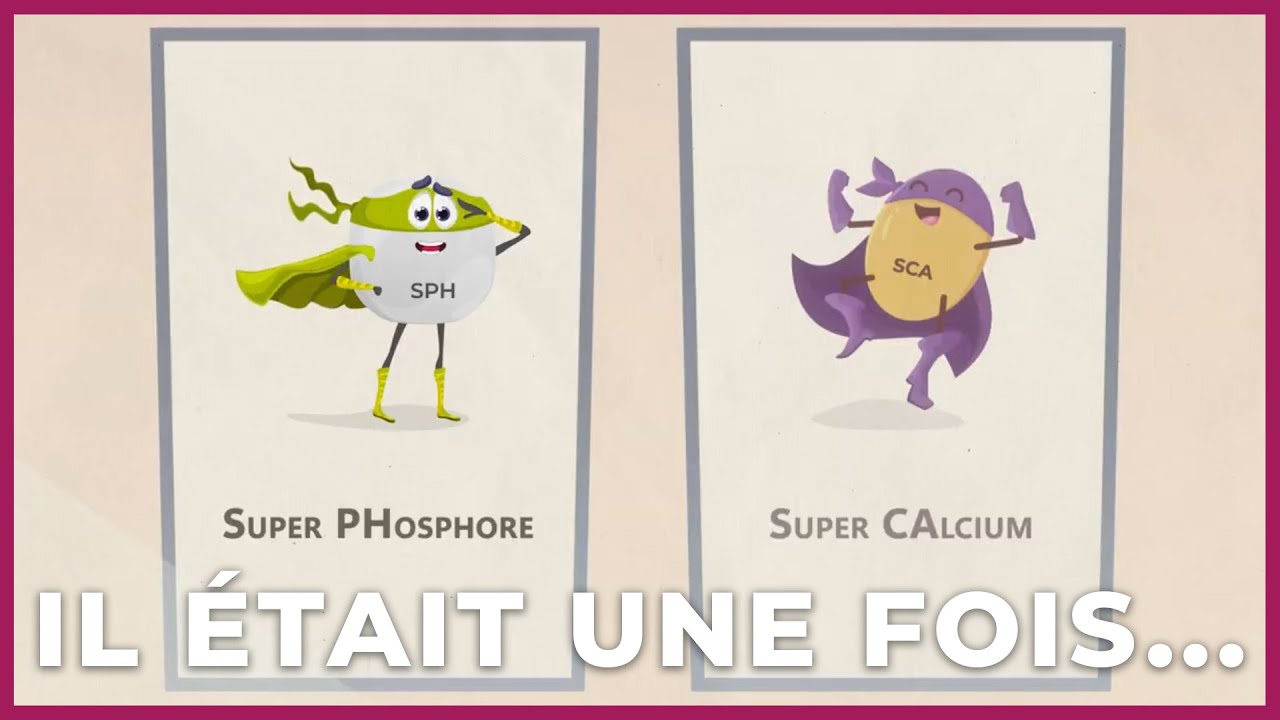L'équilibre phosphocalcique