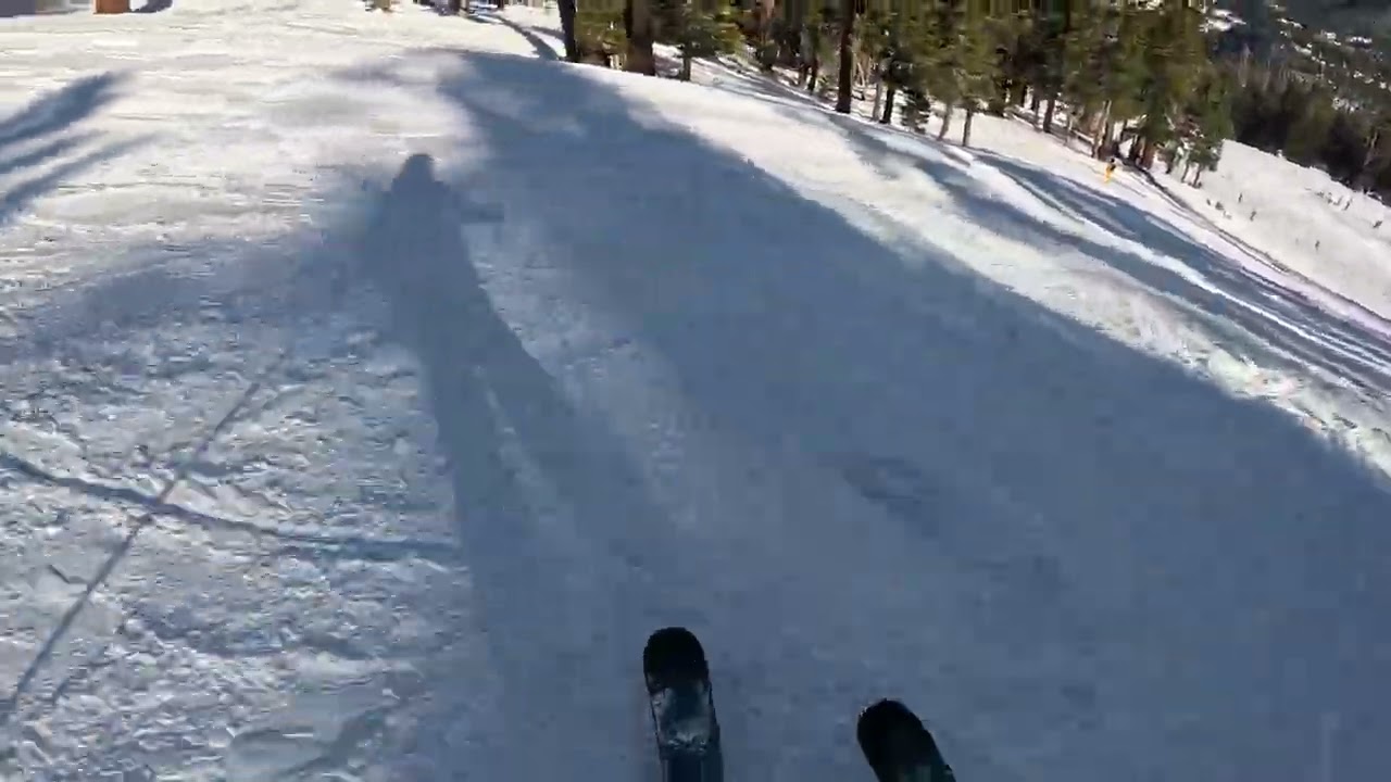 mammoth mountain