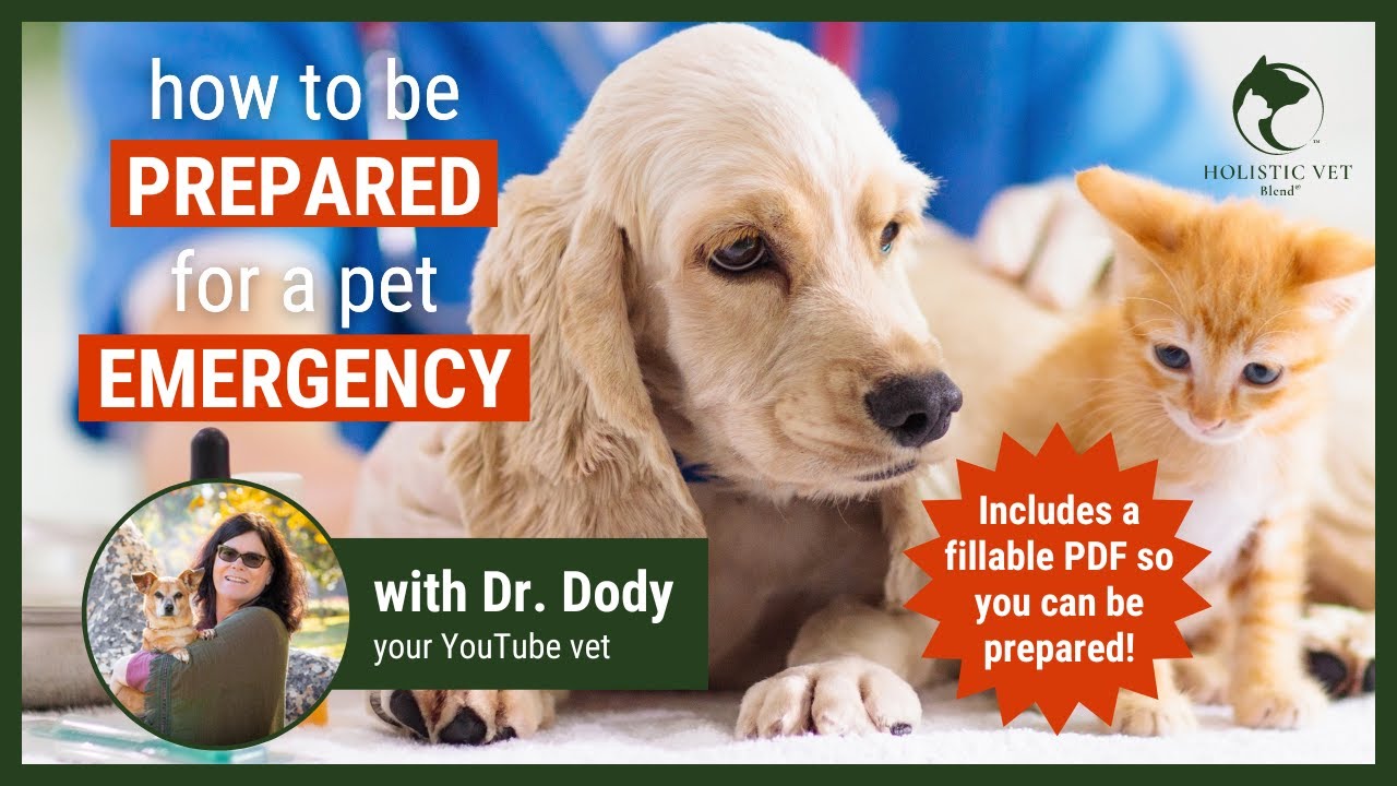 How to handle a pet emergency | 8 tips to prepare for a pet emergency | Pet emergency prevention