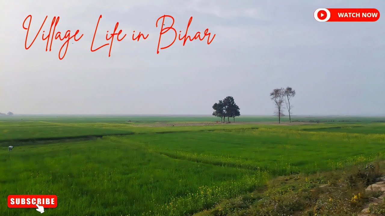 INDIAN VILLAGE TOUR / Village Life in India/ ग्रामीण जीवन शैली #GaonKiZindagi #VillageLife #DesiLife