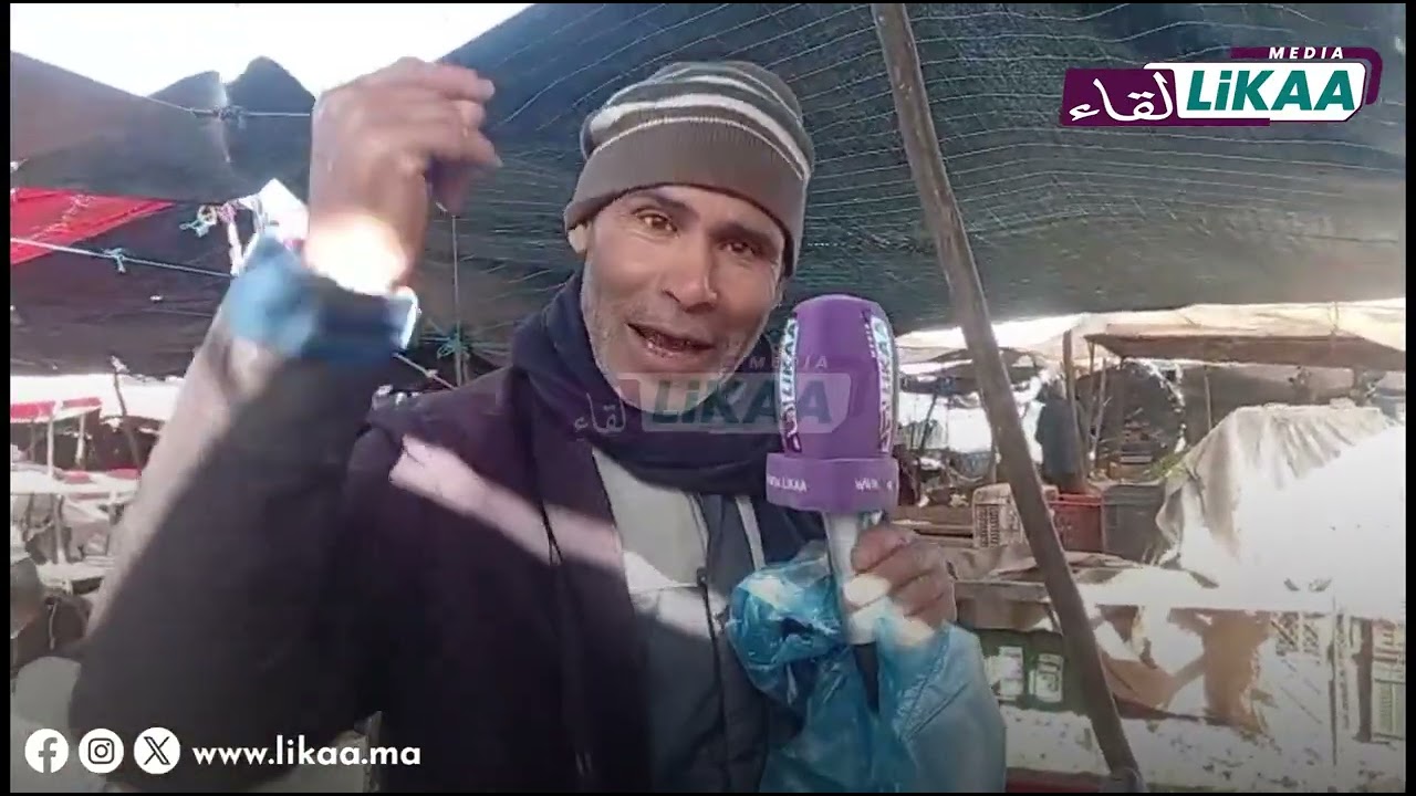 أجي تعرفو ثمن الأسماك بسوق شطيبة بالزمامرة واش كاين شي إقبال على الحوت