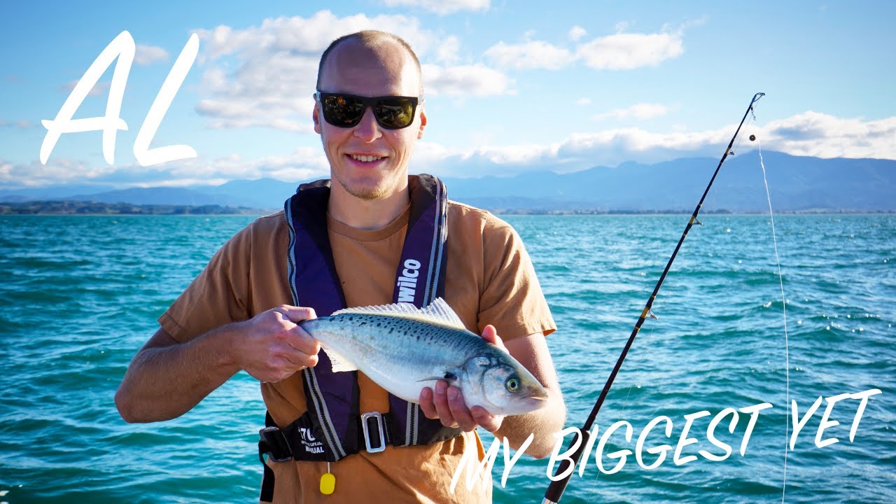 FISHING IN MOTUEKA & I CAUGHT MY BIGGEST KAHAWAI YET - The Big Island Boat Tour (New Zealand) - EP26