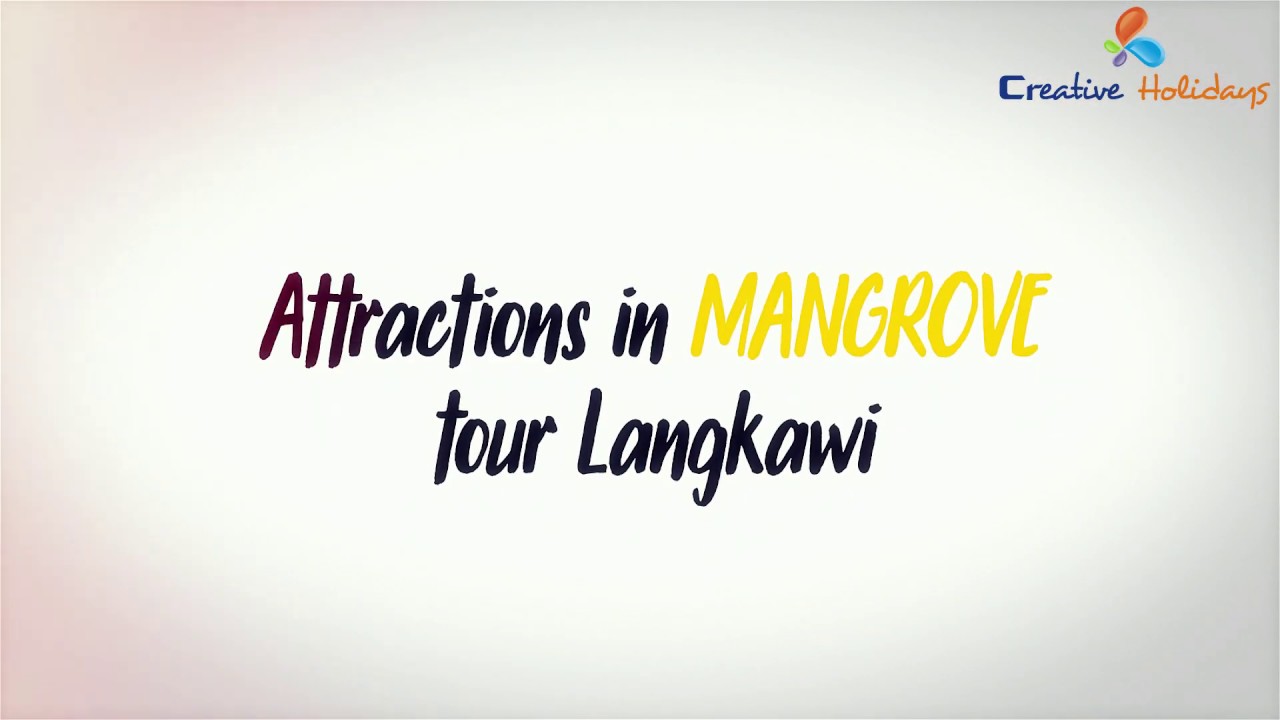 Attractions In Mangrove Tour Langkawi - Creative Holidays India