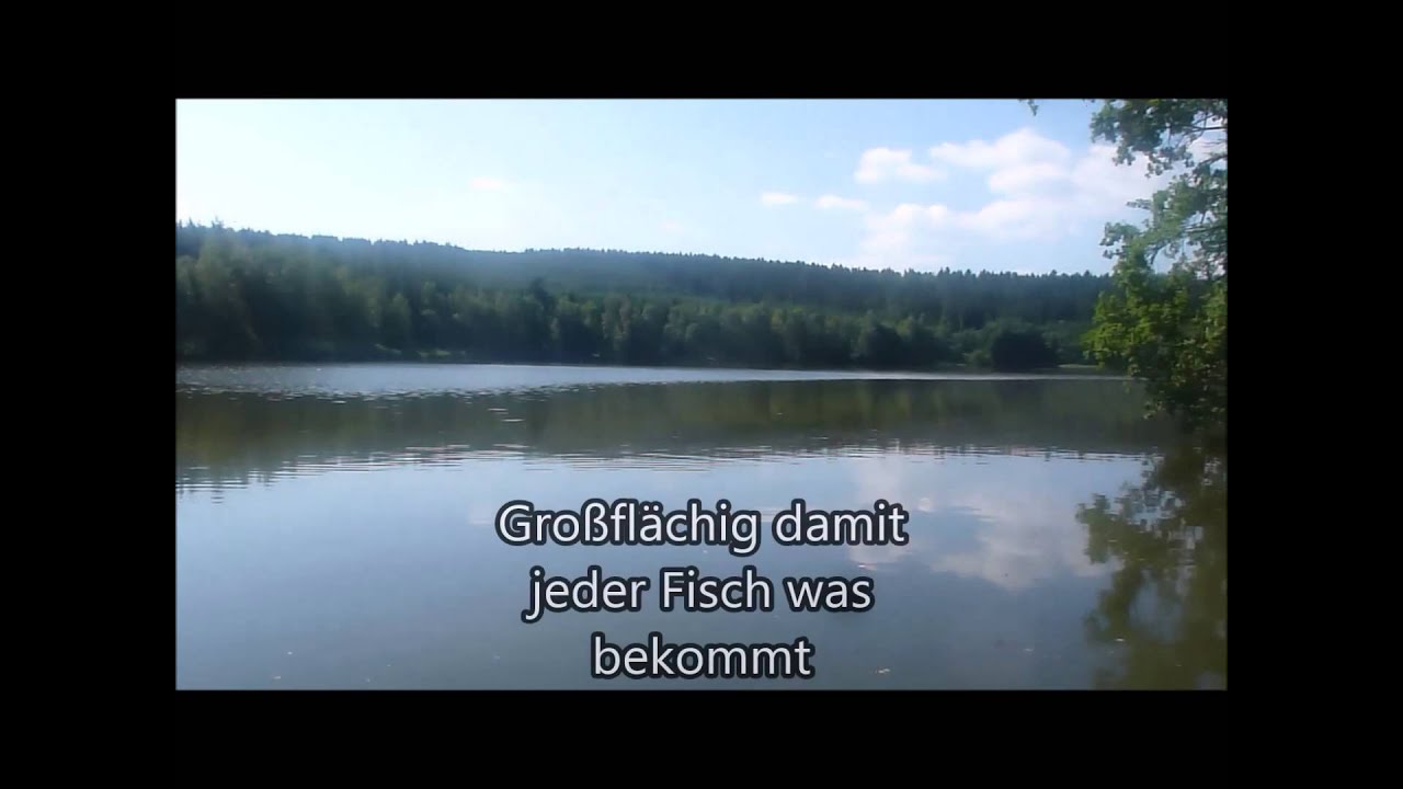 füttern in der karpfenzucht beauty carps
