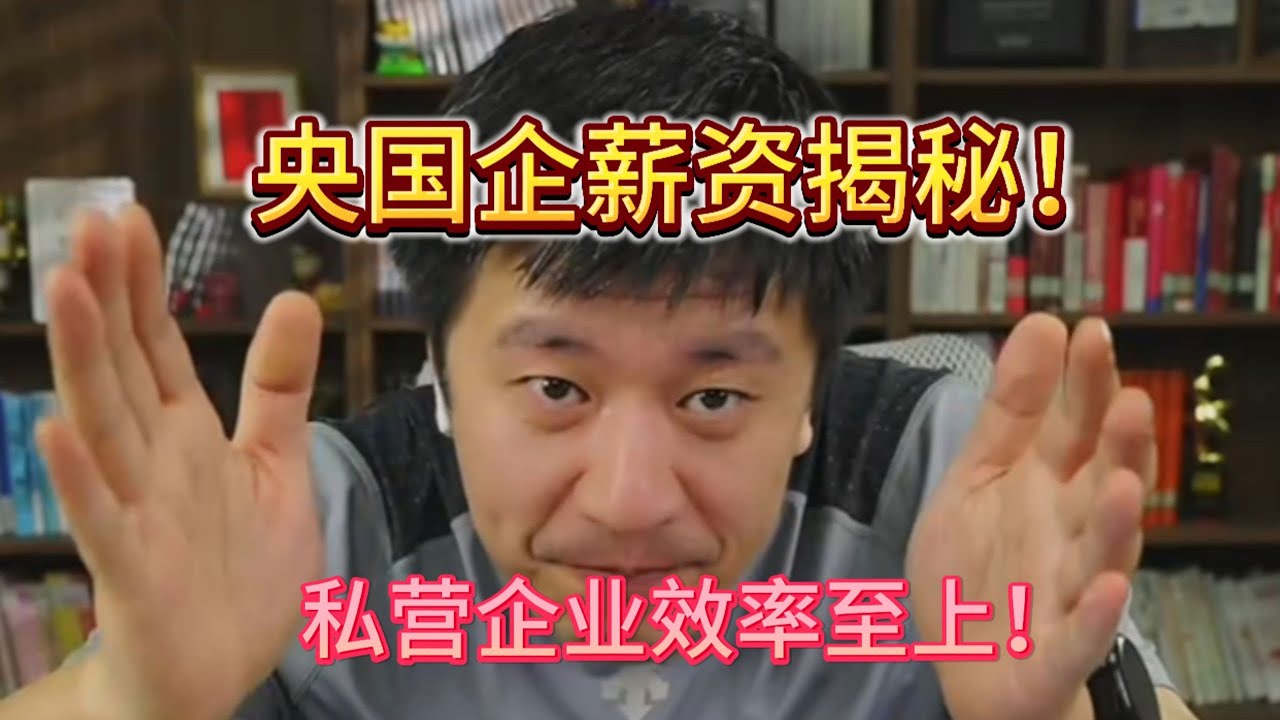 央国企薪资揭秘！ 私营企业效率至上！#张雪峰 #考研 #考公 #公务员 #高考 #研究生 #就业 #教育 #大学