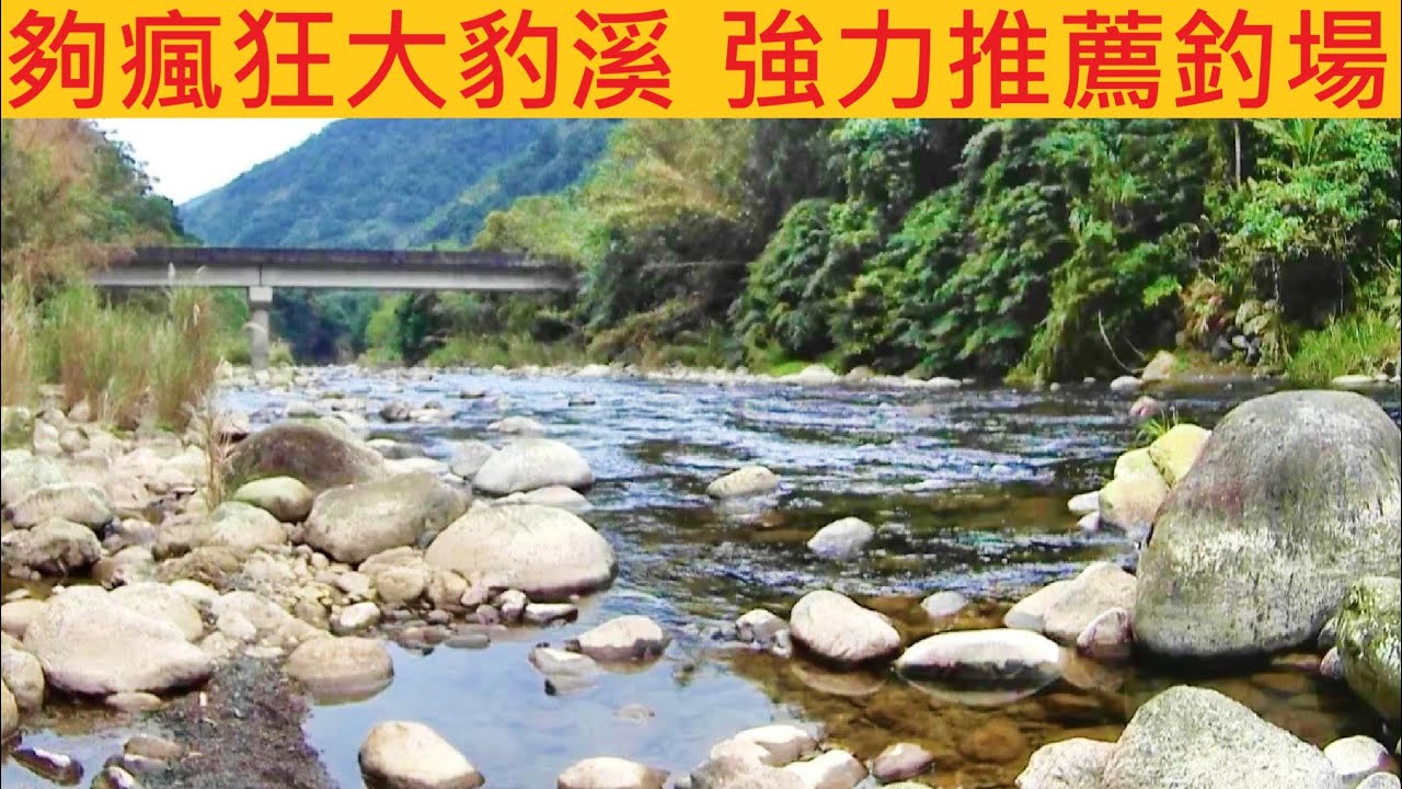 夠瘋狂大豹溪 強力推薦釣場 @2小時滿桶拉到手真ㄉ抽筋 全程下雨也是玩得超開心 #溪釣 #石斑  #大豹溪是超危險溪流