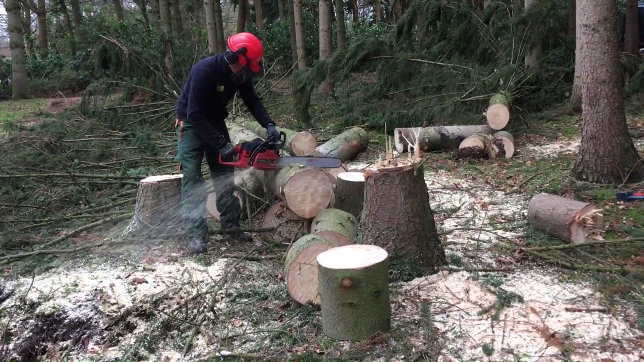 Tuinmeesters-Stormschade opruimen te Hoeven