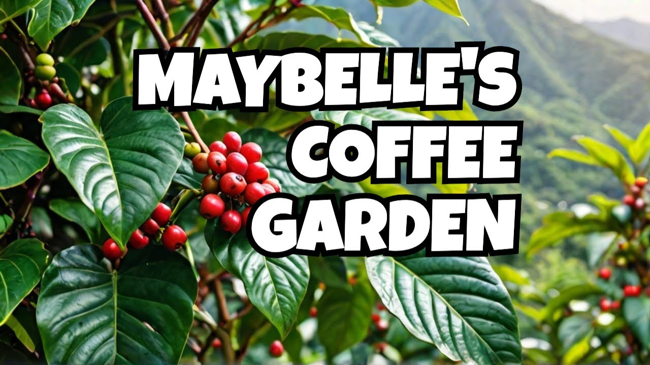 Maybelle's Coffee Garden : Kata Phuket Thailand