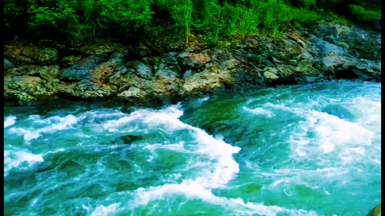 Serene River Ambience ASMR Nature Sounds White Noise for Deep Relaxation