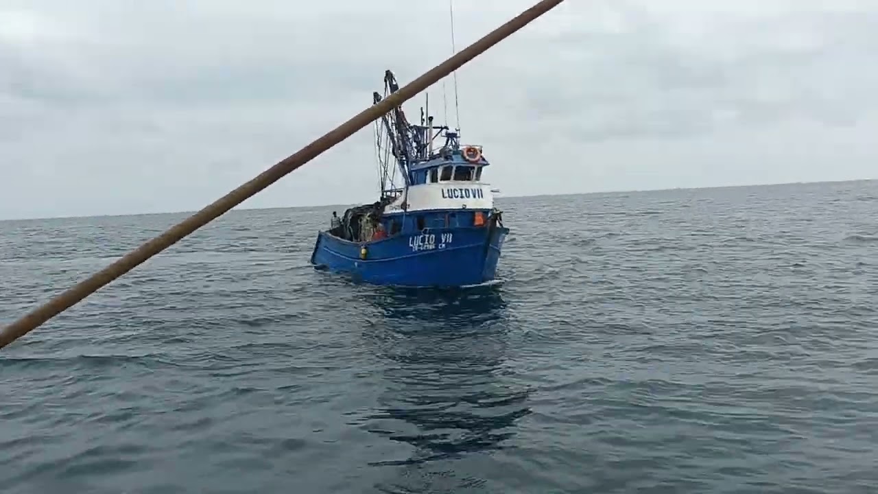 pesca de jurel al rojo vivo. (amistad)(4)