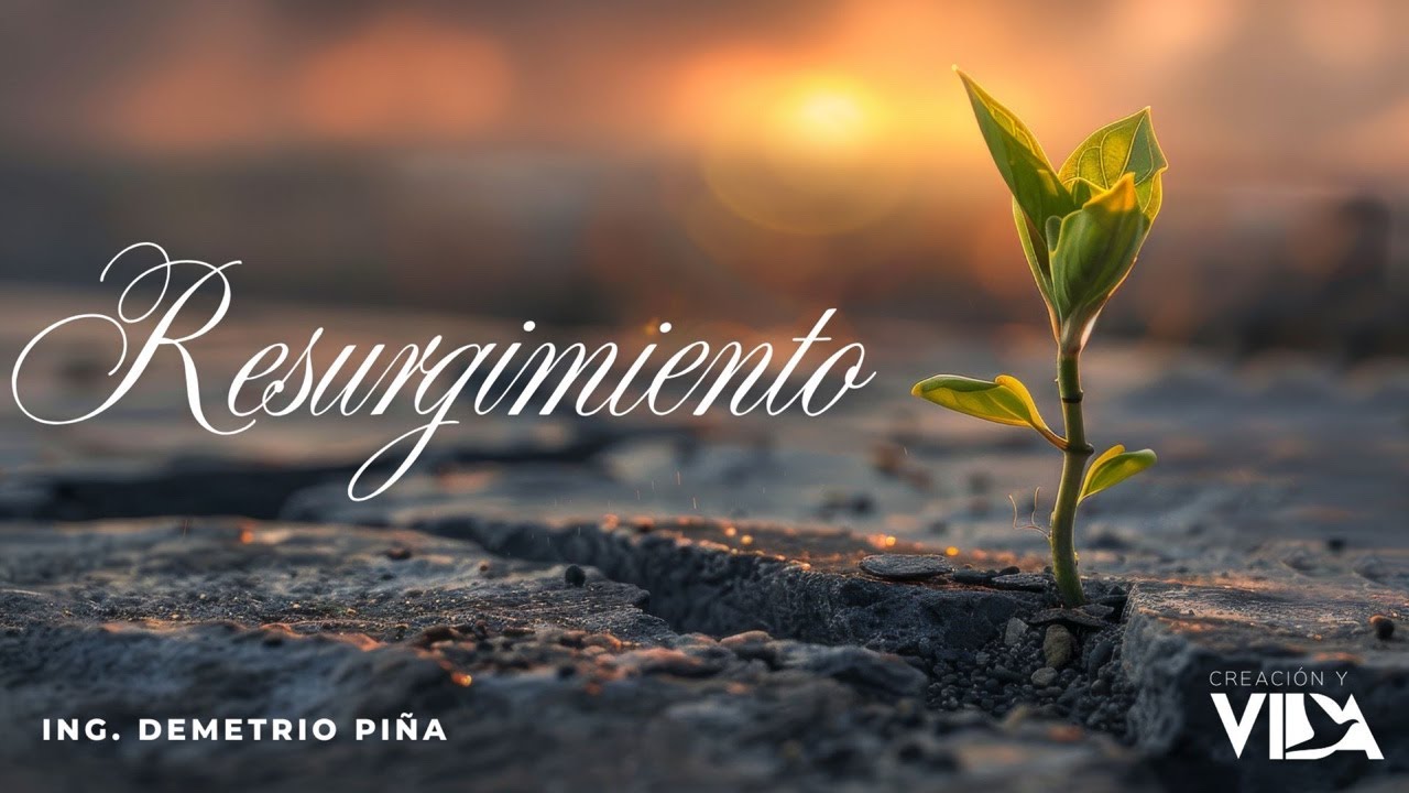 Resurgimiento