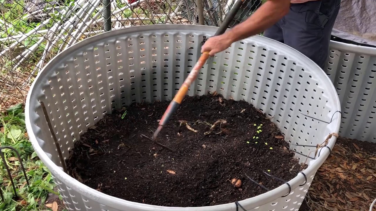 LIFE: Science Shorts &mdash; Composting and Renewable Energy