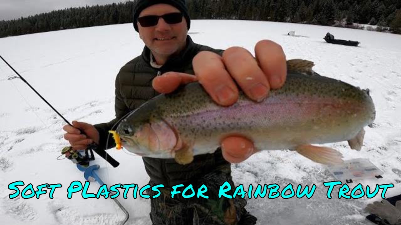 Icefishing Rainbow Trout in British Columbia with jigs and soft plastics - So Many Fish Caught!
