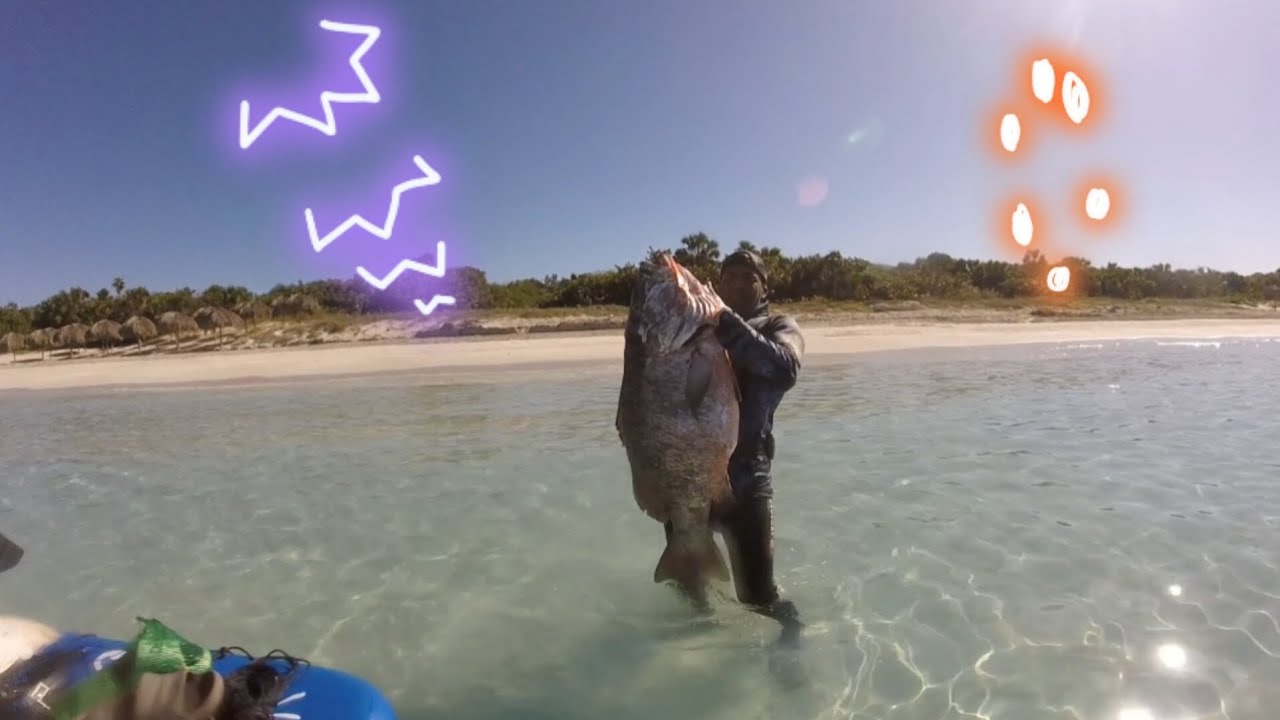 Algo no esperado con la captura de esta enorme cubera de 71 lb 😱😱😱😱😱😱😱.( Una toma fallida )