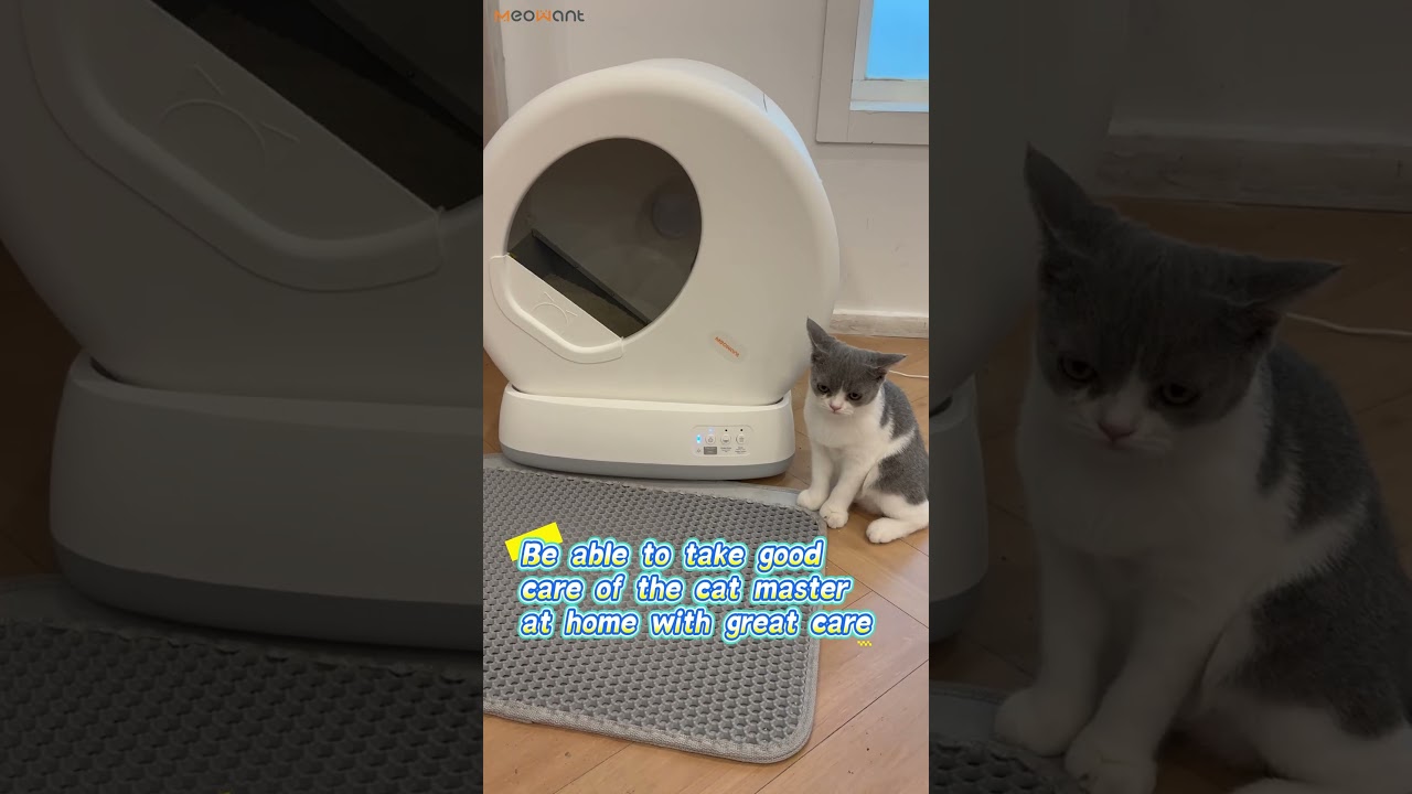 Say goodbye to odor and clumps.  Guaranteeing a pristine environment 24/7. 