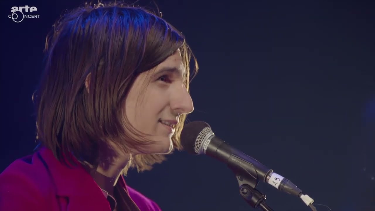 The Lemon Twigs - Les Inrocks Festival 2016 | 1080p Remaster (full show)