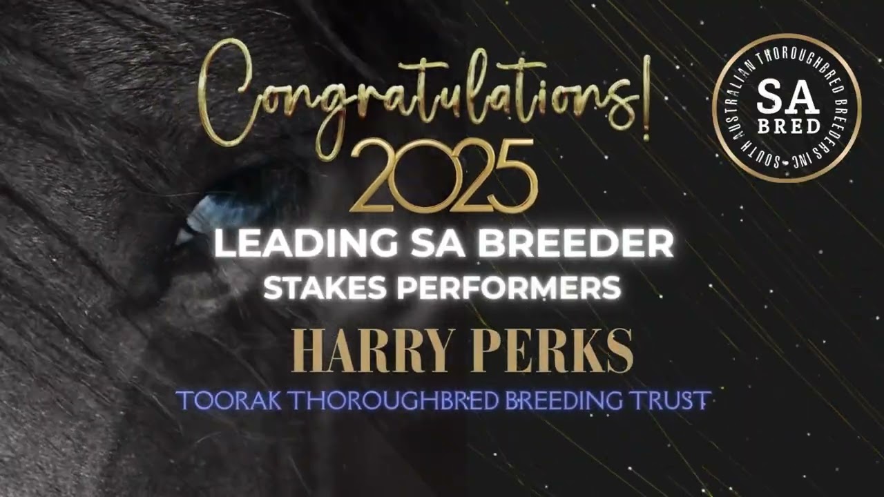 SA Breeders Annual Awards 2025 | Honouring SA Thoroughbred Breeding Excellence