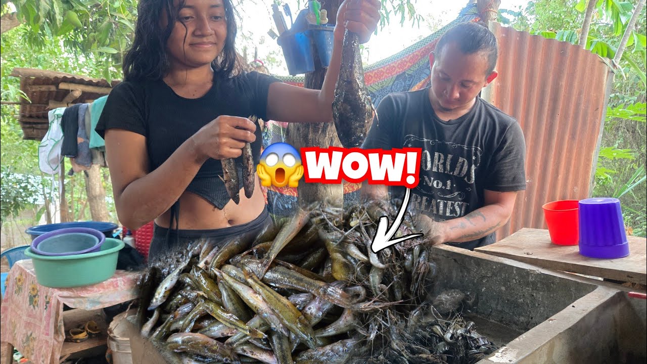 🛑 nos fue 😱😱bien en la pesca muchos guabinas agarramos(:aventuras intipuqueñas 503:)