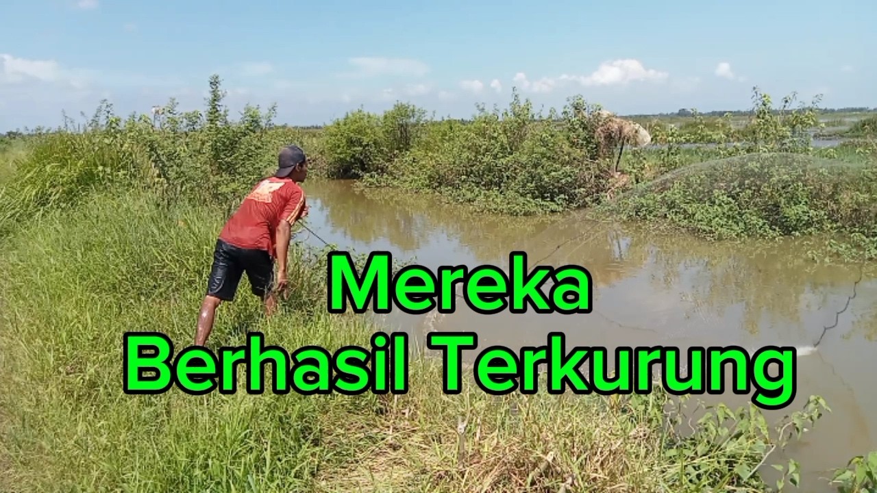 Kembali ke sungai ini lagi , menjala ikan