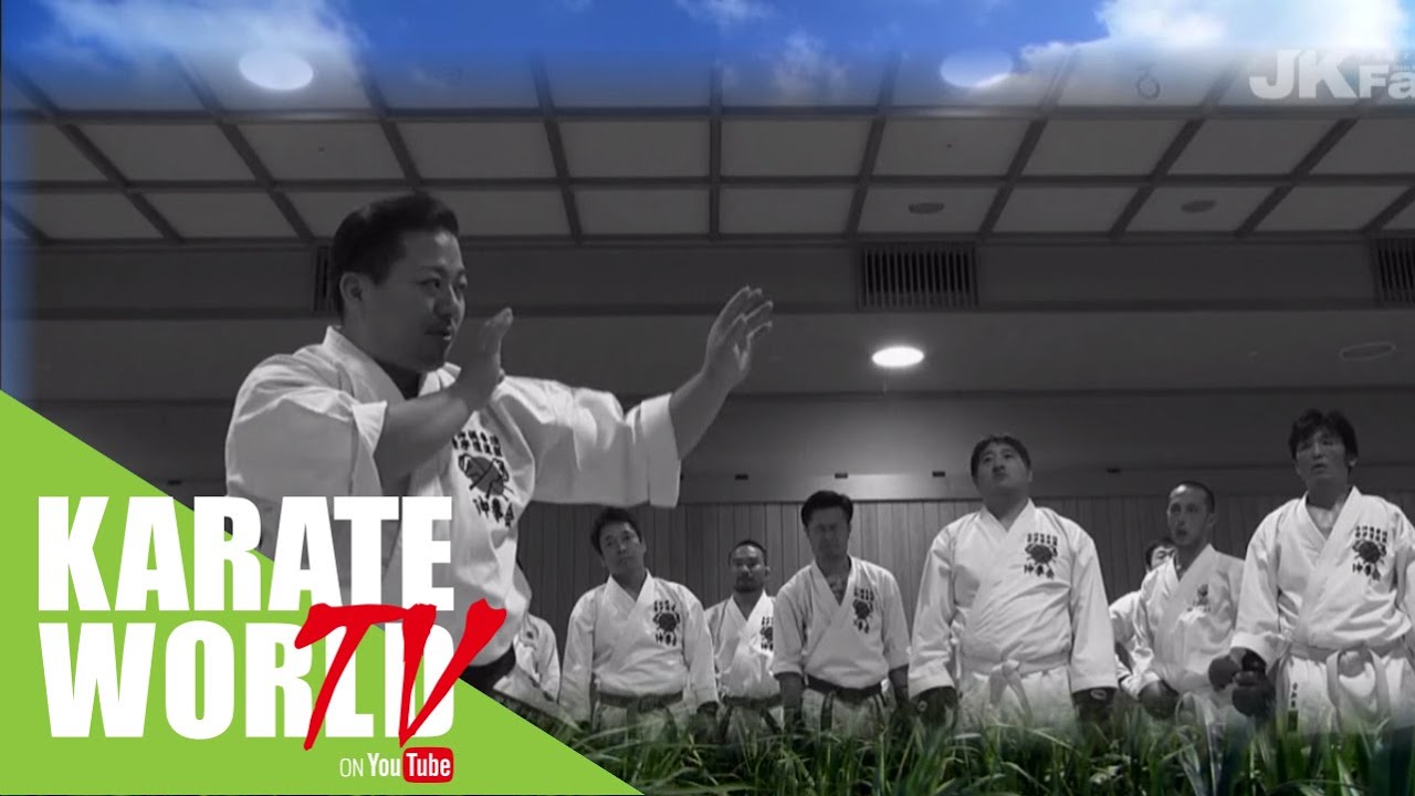 Tomerite Seminar- Okinawa Kenpo [Lesson]