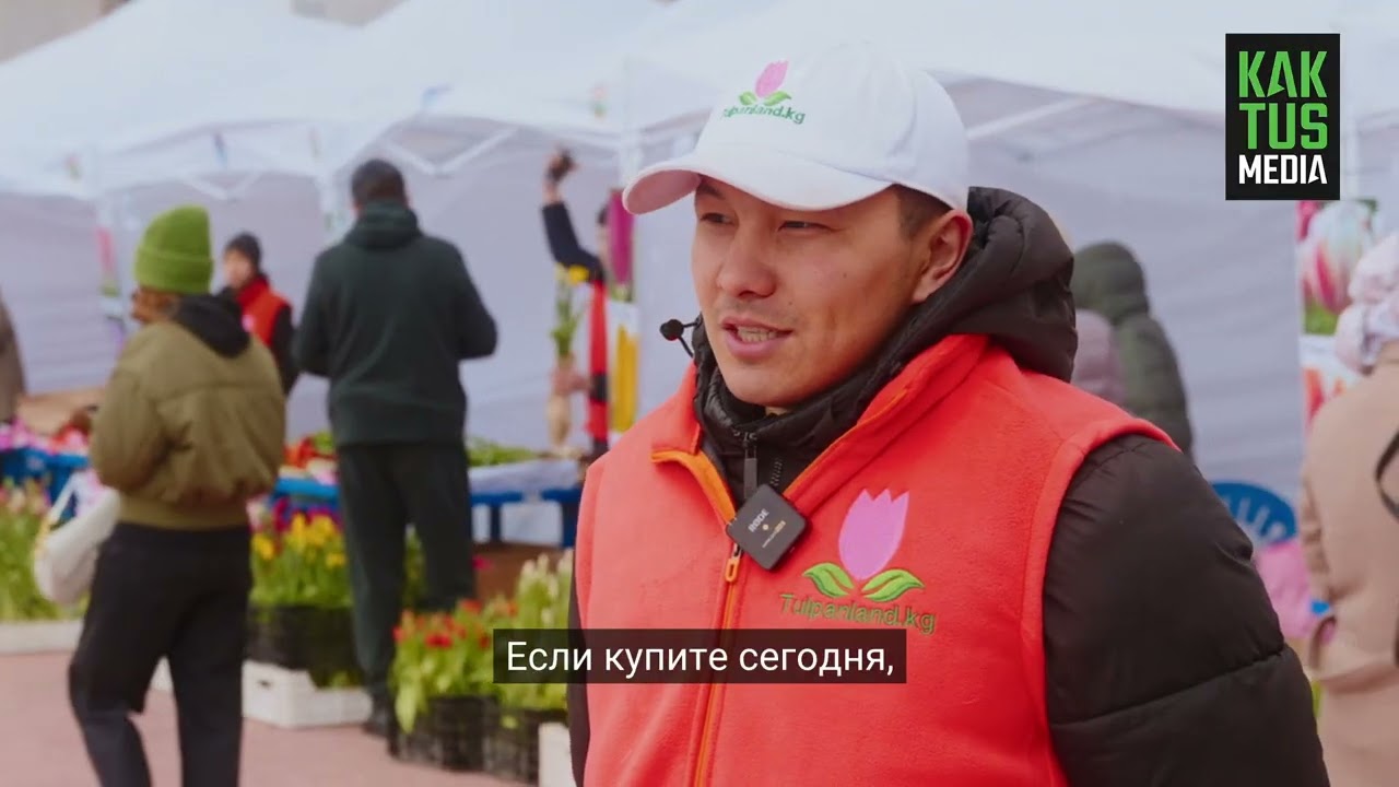 Сколько стоят тюльпаны перед 8 Марта?