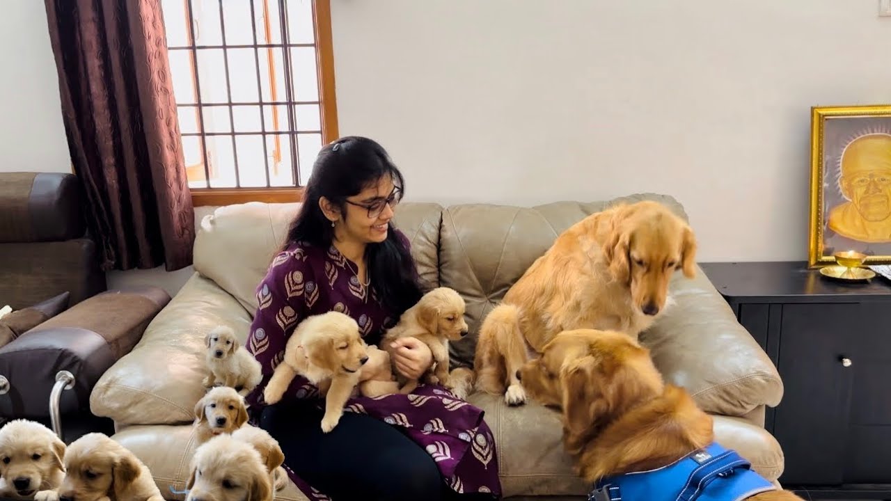 Bubbles meeting his Kids 🥹❤️😍