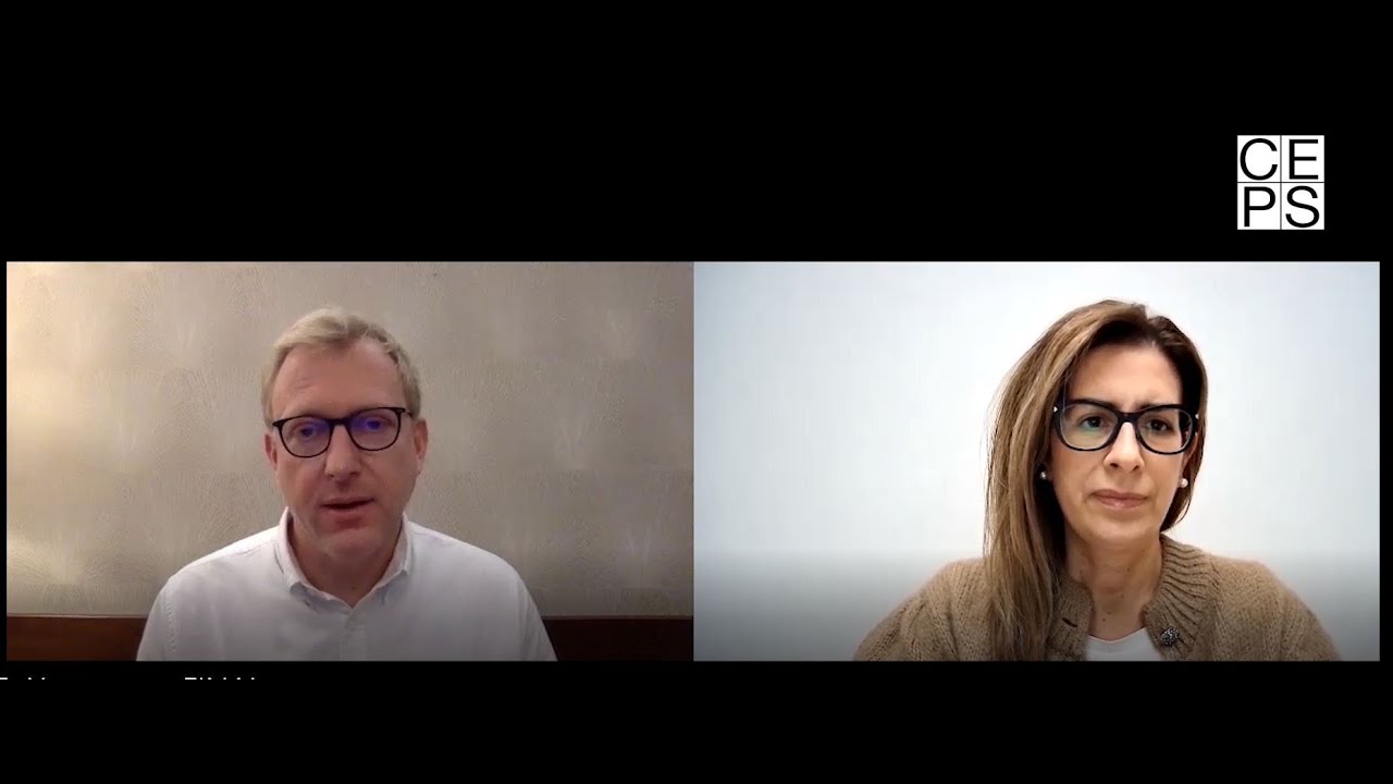 A year in review: Cinzia Alcidi and Steven Blockmans, revisit some key points of 2020
