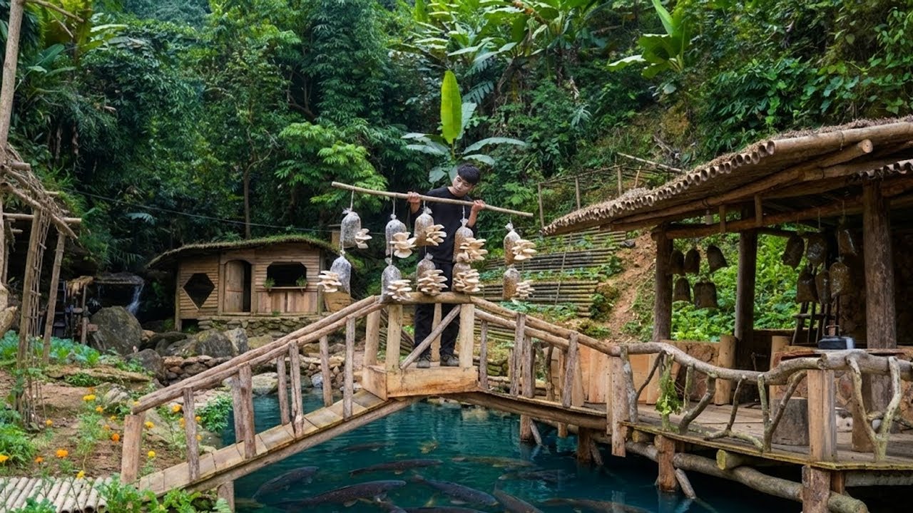 Life in a House by the Waterfall. Making Oyster Mushroom Spawn & Finding Bamboo Shoots