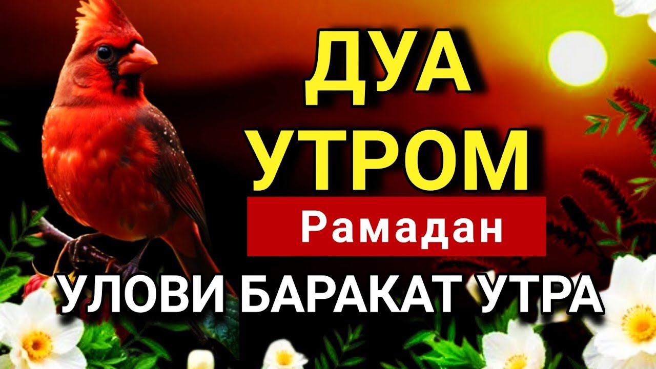 🔑💖 БАРАКАТ ВО ВСЕМ: ДУА Рамадан НА КАЖДОЕ УТРО 🤲✨💯