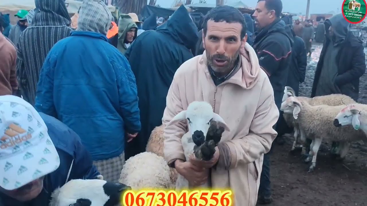 🇲🇦مباشرة من قلب الحدث سوق خميس العطاوية بتاريخ 22/01/2026🌨️🌨️🤲