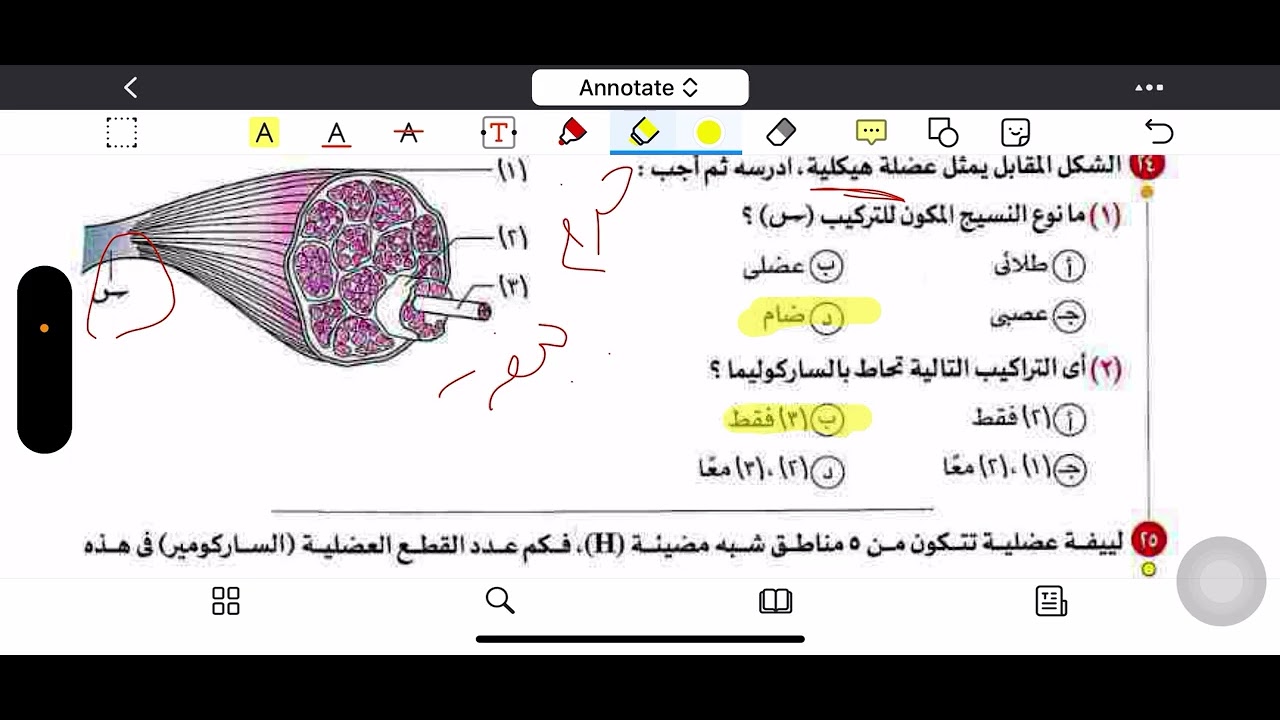 حل اسئلة الدرس الثاني ( تركيب الجهاز العضلي في الإنسان)كتاب الامتحان أحياء ٣ ث ٢٠٢٦ د.عبدالله الصاوي