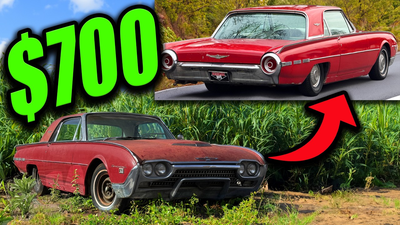 I Bought a $700 Thunderbird and Brought it Back to Life! (FULL BUILD)