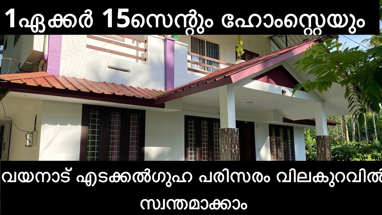 1ഏക്കർ 15സെന്റും അടിപൊളി ഹോംസ്റ്റെയും വയനാട് എടക്കൽ land fore sale with house in wayanad