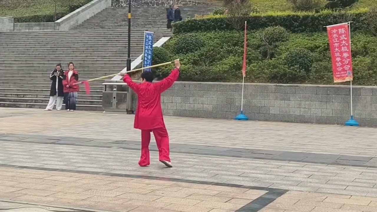 陈式梨花枪夹白猿棍 #陈式太极拳