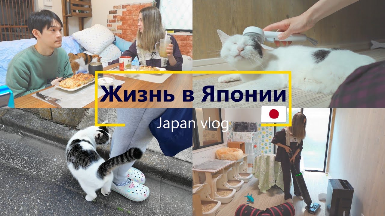 [Жизнь в Японии]Япония влог Обычный выходной день.
