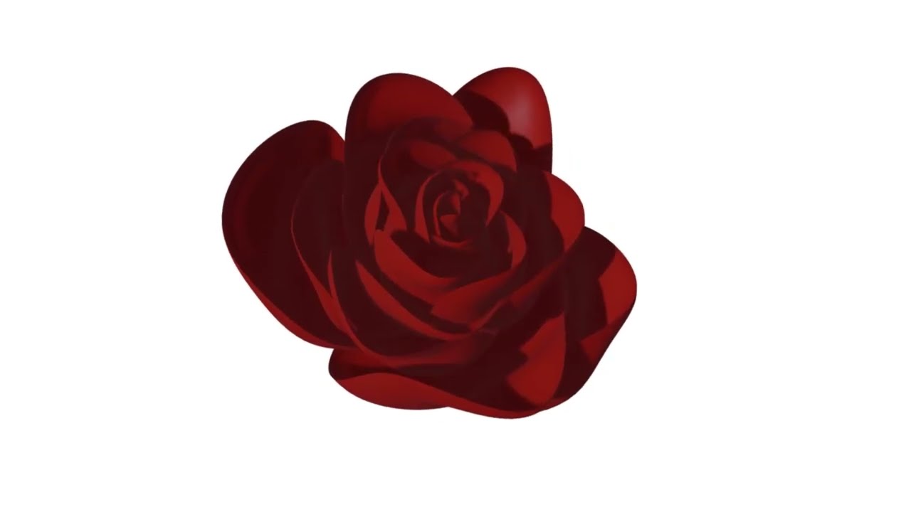 3d rose - part1