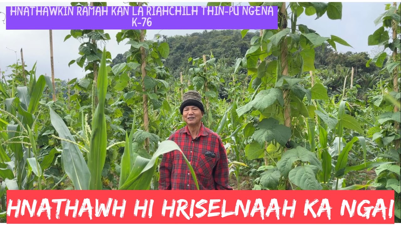 Serchhip pa taima-Pu Ngena thlai hmun,Serchhip Zawlpui