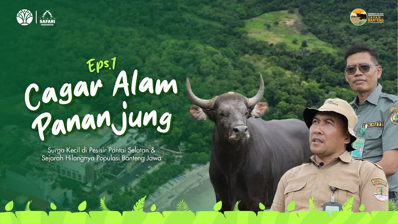 Cagar Alam Pananjung - Eps 1