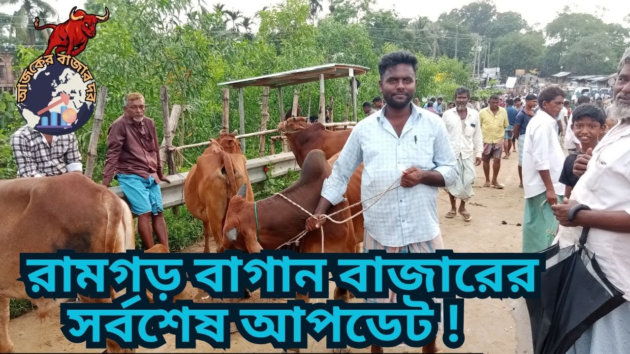 রামগড় বাগান বাজারের নতুন রূপে! (২০২৫ এর সর্বশেষ আপডেট)