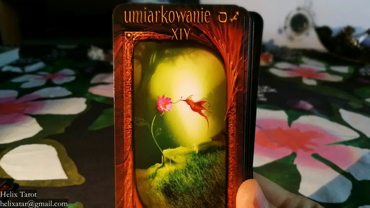 Tarot Maroon - recenzja