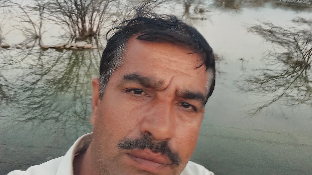 साइबेरिया के पक्षियों केनजारे