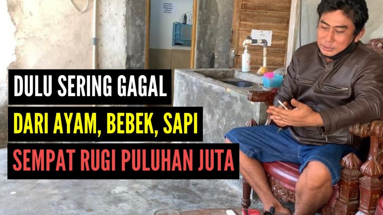 KISAH INSPIRATIF - PETERNAK YANG SERING GAGAL TERNAK AYAM