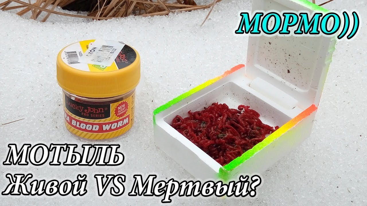 МОРМЫШИНГ с Живым и Искусственным Мотылем. Эххх хвост чешуя, не поймал я ... ничего ((