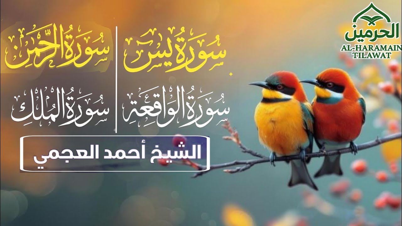 Surah Yasin, Ar-Rahman, Al-Waqiah, Al-Mulk | Full Heart Soothing Recitation | Al Haramain Tilawat