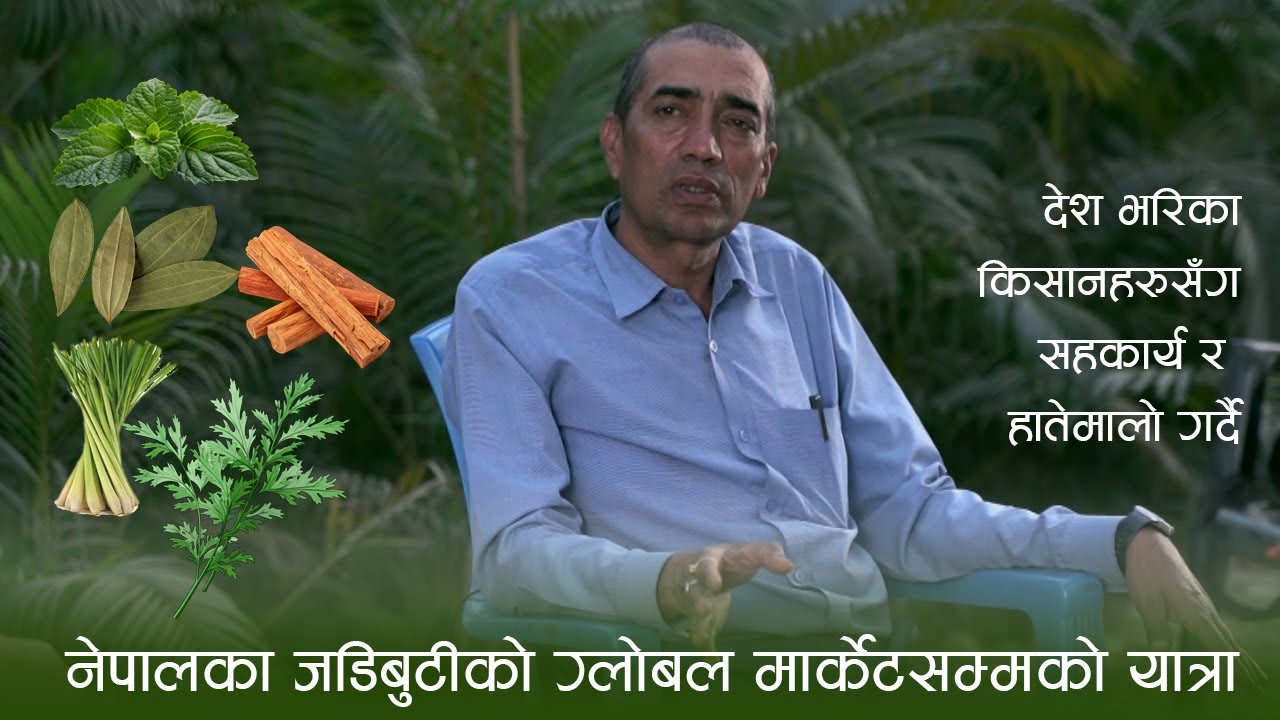नेपालमा सबैभन्दा बढि डलर भित्राउने बस्नेत || युरोप र अमेरिकामा निर्यात गर्छन सुगन्धित तेल ||