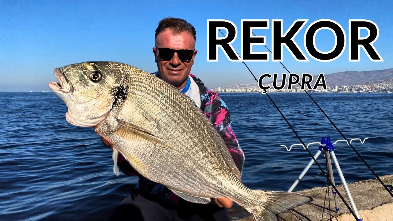 SPİN KAMIŞLA GELEN REKOR ÇUPRA !!!