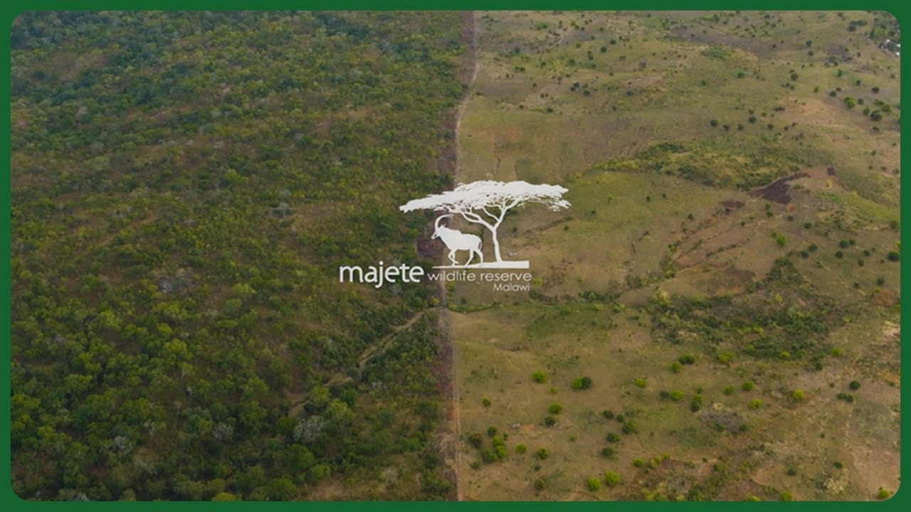 Majete Wildlife Reserve – Celebrating 20 Years of Operation