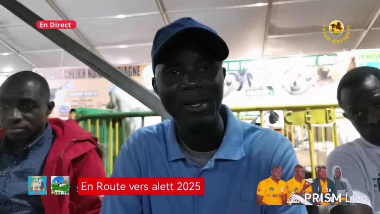 En route vers alett 2025, Bergerie Mbacool