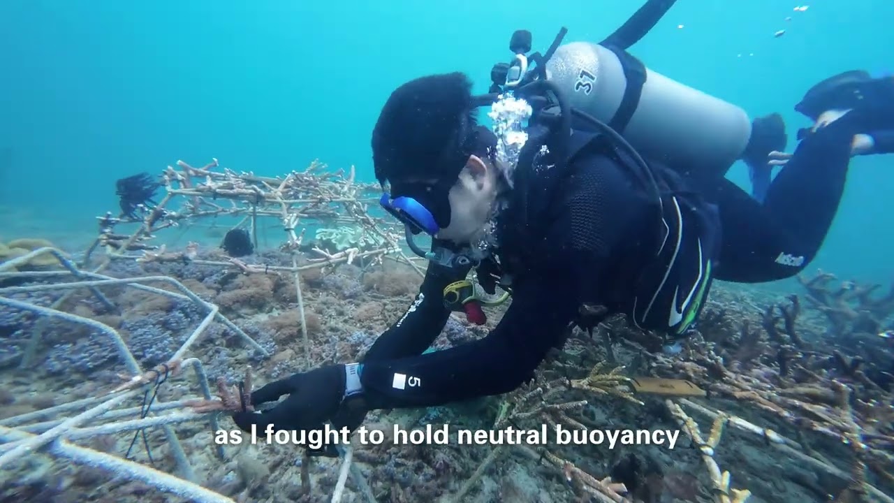 GENIUS Olympiad - 2026: Restoring the Underwater City